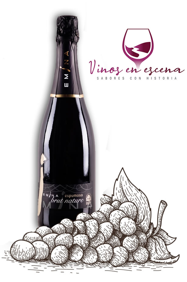 vino-home-fondo Vinos Colombia Honda